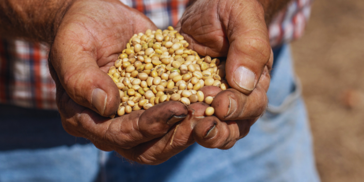 America’s quietest crop is set to take center stage in Trump-Xi talks