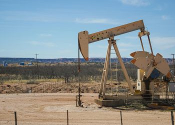 OPEC+ likely to keep production hikes on hold for March as oil prices rise