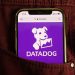 Datadog Q4 earnings: sufficient to justify a 230x earnings multiple?