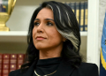 Gabbard ends task force that aimed to reform intelligence gathering after less than a year
