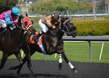 TheSportExchange, Algoz join forces to build liquidity for sports digital assets