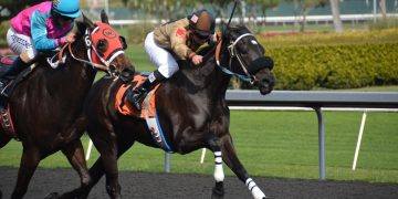 TheSportExchange, Algoz join forces to build liquidity for sports digital assets