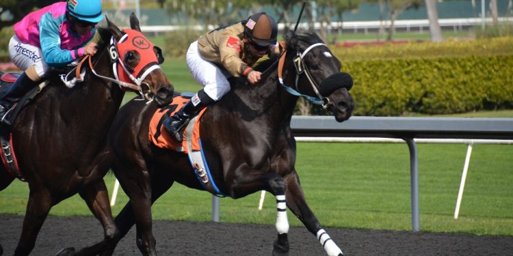 TheSportExchange, Algoz join forces to build liquidity for sports digital assets