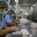 Torrent Pharmaceuticals Q4 profit drops despite strong revenue growth