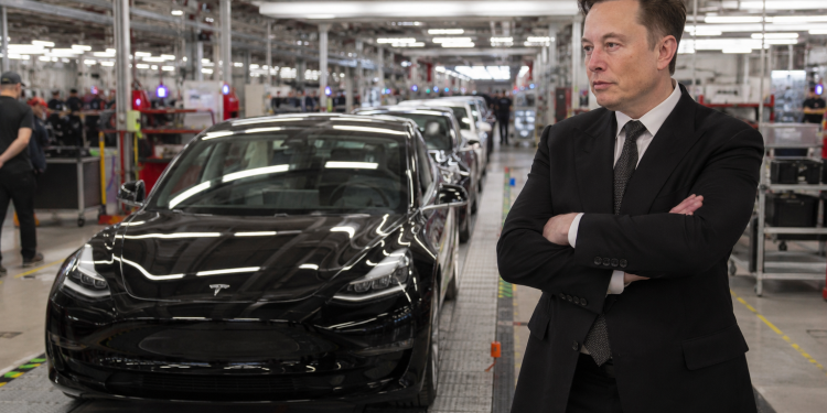 Tesla expands robotaxi as Elon Musk predicts AI-led driving future