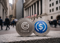 Circle stock at risk as it faces a major triple whammy of headwinds