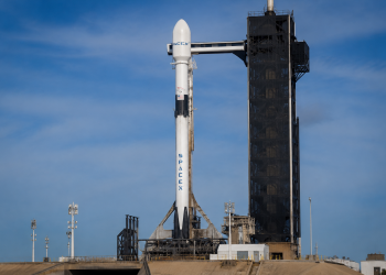 SpaceX stock rockets 10% as Musk’s giant nears Amazon’s valuation