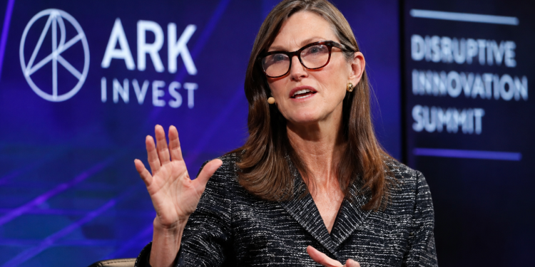 Why Cathie Wood is piling into SpaceX stock after its brutal post-earnings drop