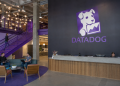 Why is Datadog stock down 18% despite a Q2 earnings beat and guidance raise?