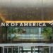 Bank of America doubles down on Nvidia stock