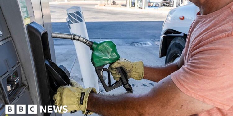 What Trump’s potential US diesel export ban could mean for you