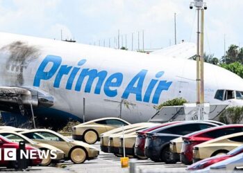 Amazon crash: Firm pauses work with cargo carrier after fatal incident