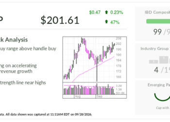 IBD Stock Of The Day: NetApp’s AI-Powered Rally Faces Next Test