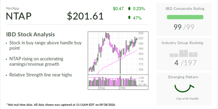 IBD Stock Of The Day: NetApp’s AI-Powered Rally Faces Next Test