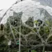 Amazon Trims Retail Staff While Betting Billions on Artificial Intelligence
