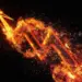 Orbiting Ambition: Weighing the Risks and Rewards of SpaceX This Autumn